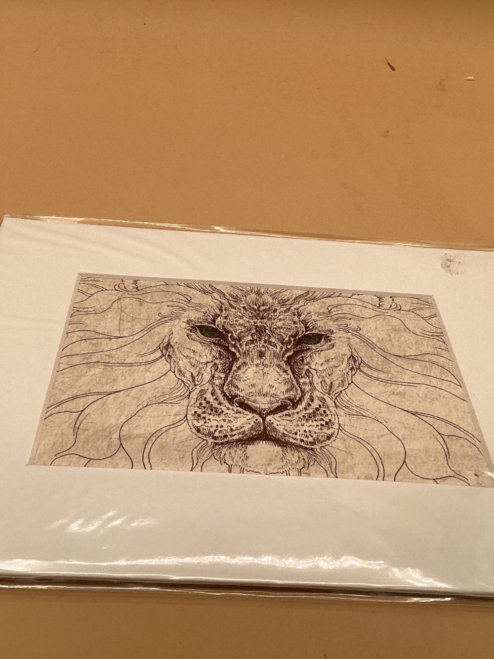 Lion pen and ink drawing.  Drawing size 4.5 x 6.5